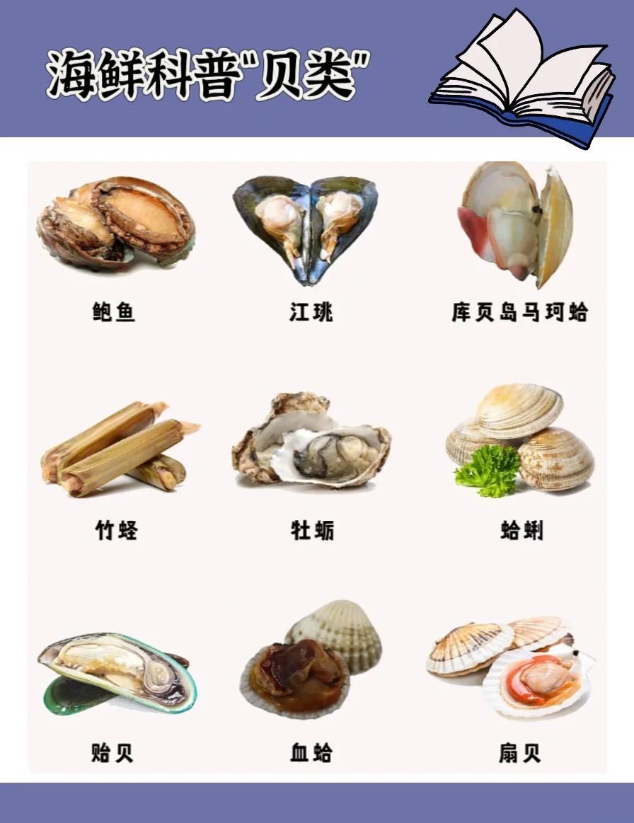 海鲜小课堂 贝类的秘密大揭秘
